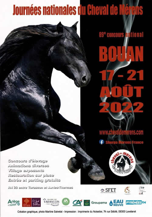 Evento cavallo di Mérens - Francia