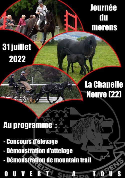 Evento cavallo di Mérens - Francia