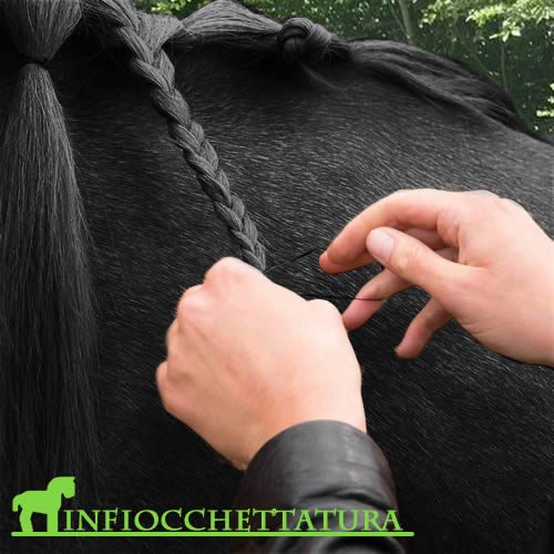 Infiocchettatura criniera cavallo di Mérens